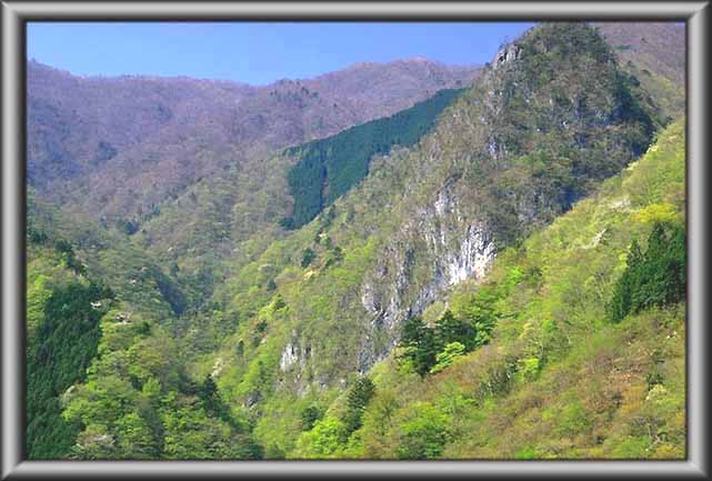 稲村岩(4月下旬)